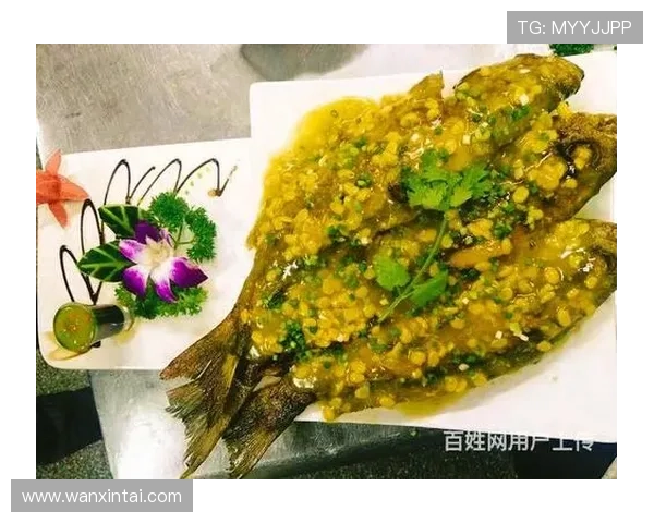 金年会官方网站入口登录最新入口地址公告及时通知用户