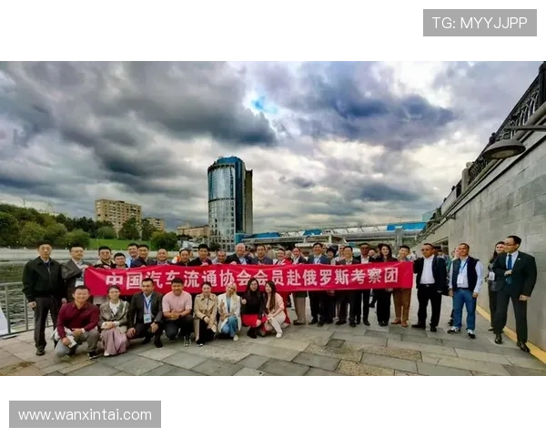 金年会正规网址查询指南，轻松找到可信赖的年会平台入口