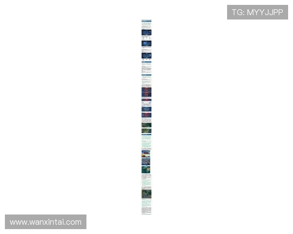 今年会官网官网最新版本更新内容详解带你了解所有游戏优化与新玩法