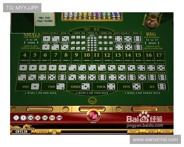 全面解析血战骰宝的游戏规则与玩法策略帮助新手快速入门