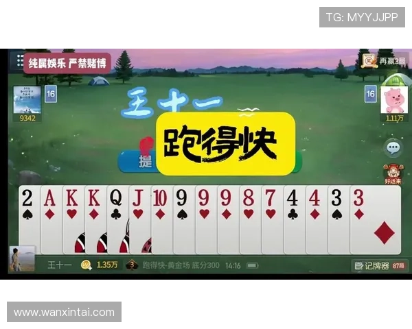 多乐跑得快电脑版免费下载与安装详细指南,轻松体验经典跑得快游戏乐趣