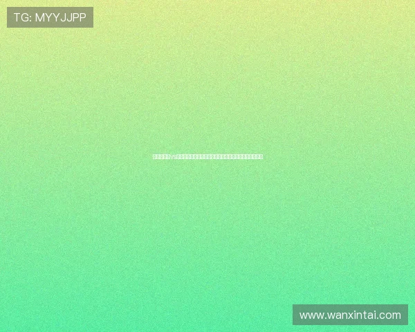 世界杯捷克vs南非比赛大名单出炉，深入解读球队阵容组成与比赛策略